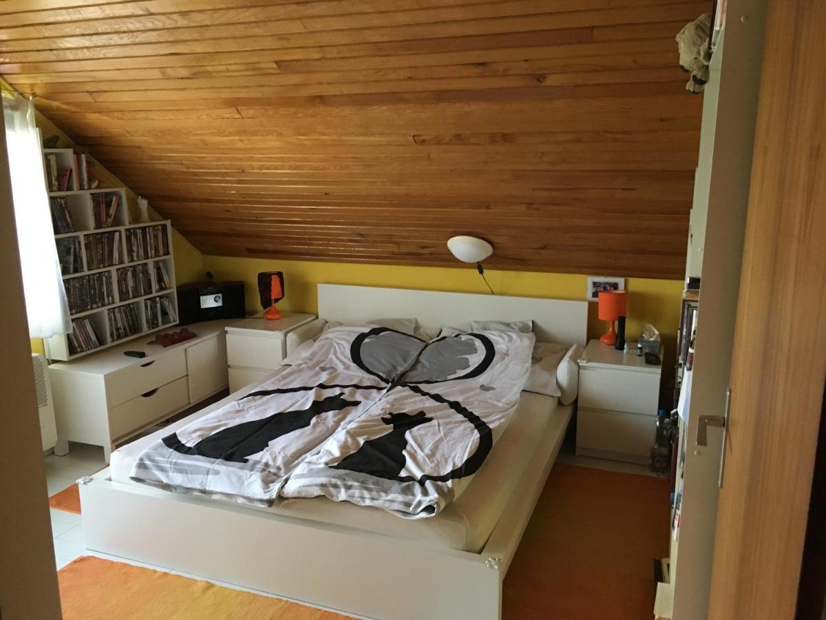 Aktiv Pihenes Apartman Révfülöp 外观 照片